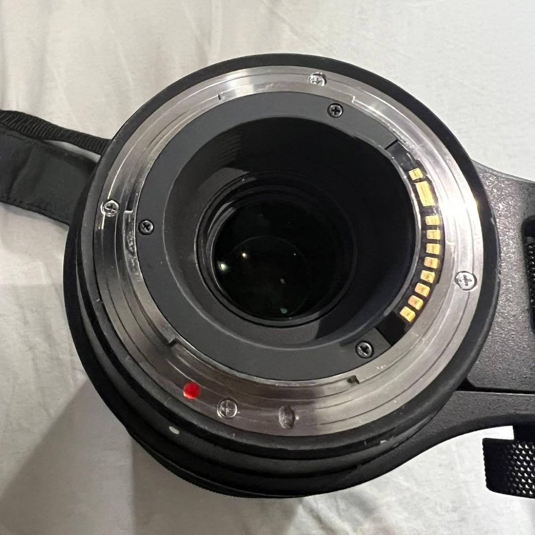 レンズ(ズーム) SIGMA 150-600mm f/5-6.3 DG OS HSM