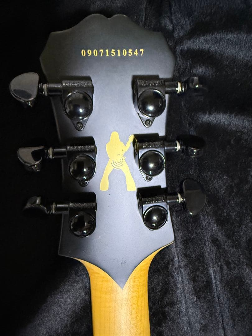 Epiphone Zakk Wylde ZV Custom エピフォン ザックV