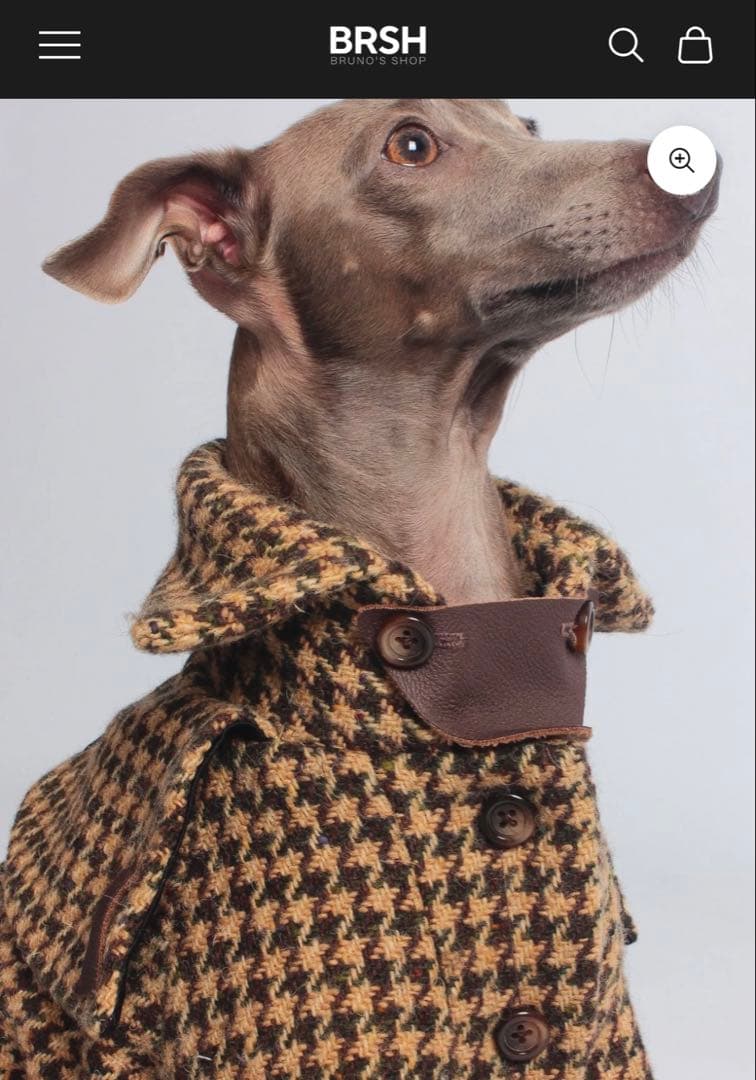 イタグレ　XSサイズ ウールコート