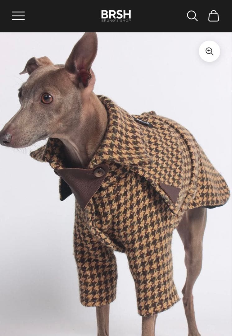 イタグレ　XSサイズ ウールコート