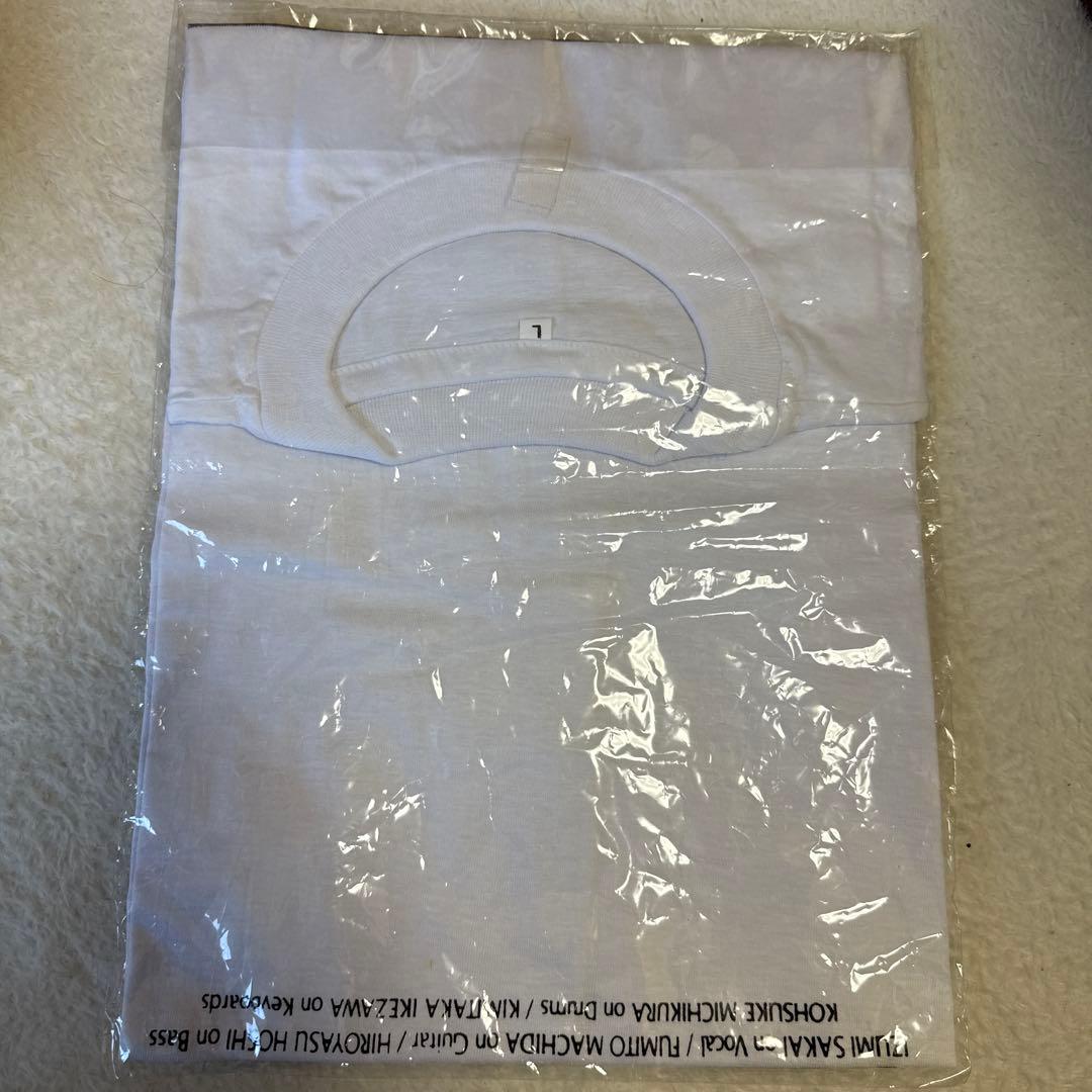 ‼️本日限定価格‼️90s ZARD tシャツ フォトtシャツ　坂井泉水