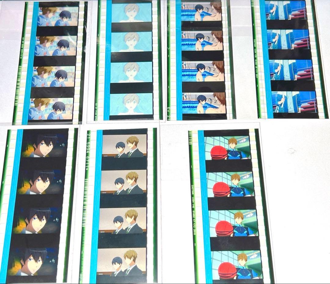 劇場版 Free! 入場特典 コマフィルム 遙 真琴