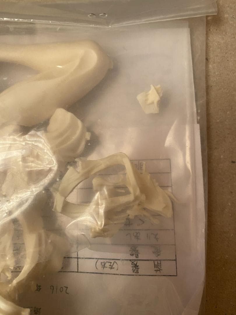 びけっとふぇんす 羽川翼 ねぐせ 猫物語 ガレージキット 化物語 物語シリーズ