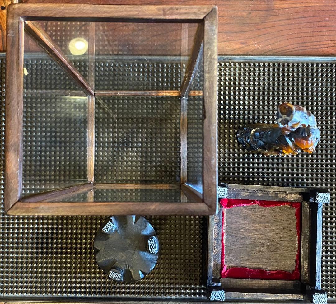 彫刻　弥勒菩薩　バッファロー角 鑑賞台座ケース付　３点セット ヴィンテージ　レア