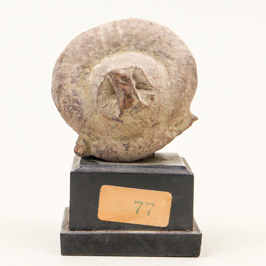 テラコッタ 発掘 置物 土器