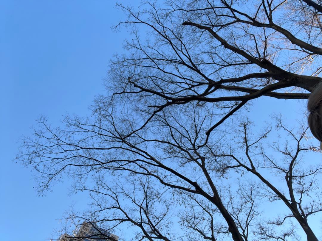 新品未使用DIANA モコモコファーバッグ