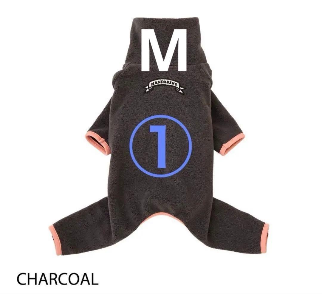 サクラチャコールM①イエローM①フレームロゴボアスーツ