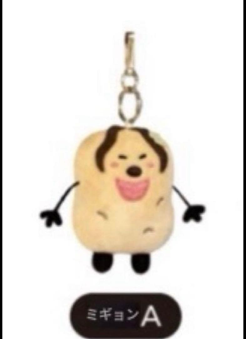 【フジシロ】ジャガイモ研究所　おまとめ品