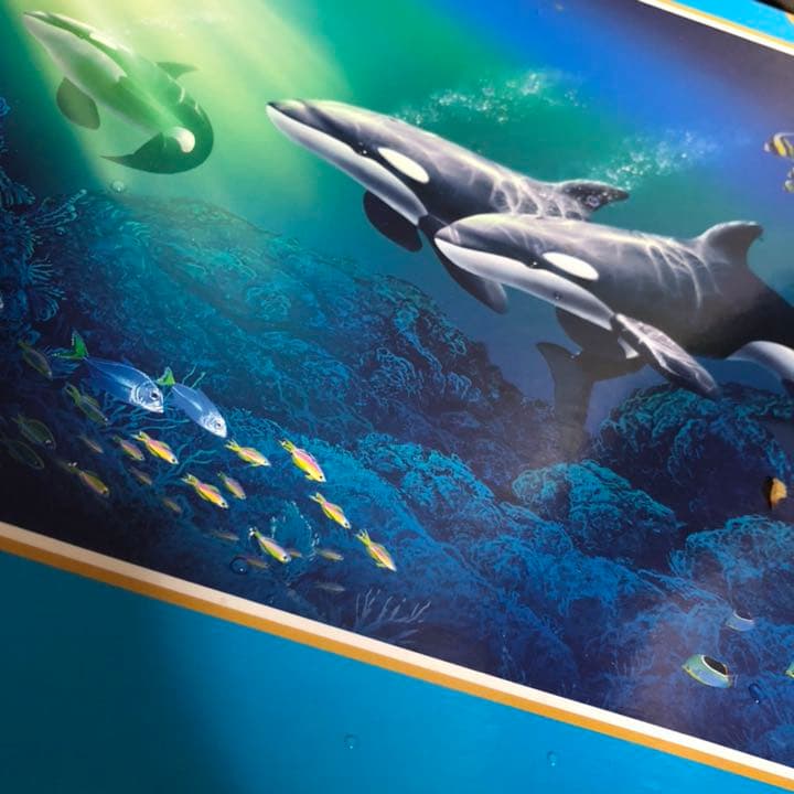 シャチ　オルカ　ラッセン　パズル　光るジグソーパズル 72×49cm 未使用