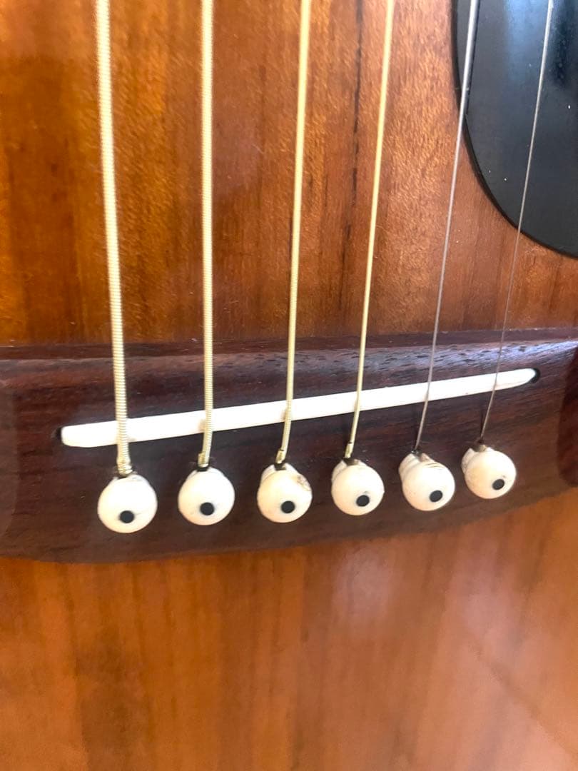 スプレンダー：Ｆ－１５０アコースティックギター