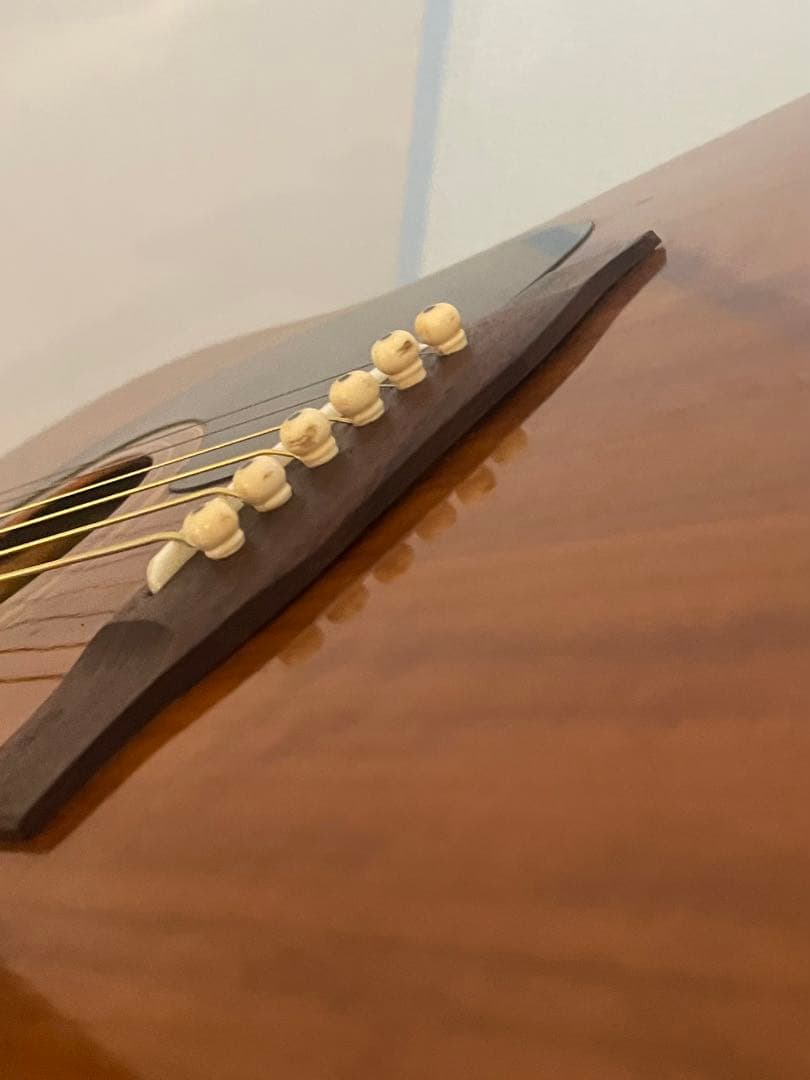 スプレンダー：Ｆ－１５０アコースティックギター