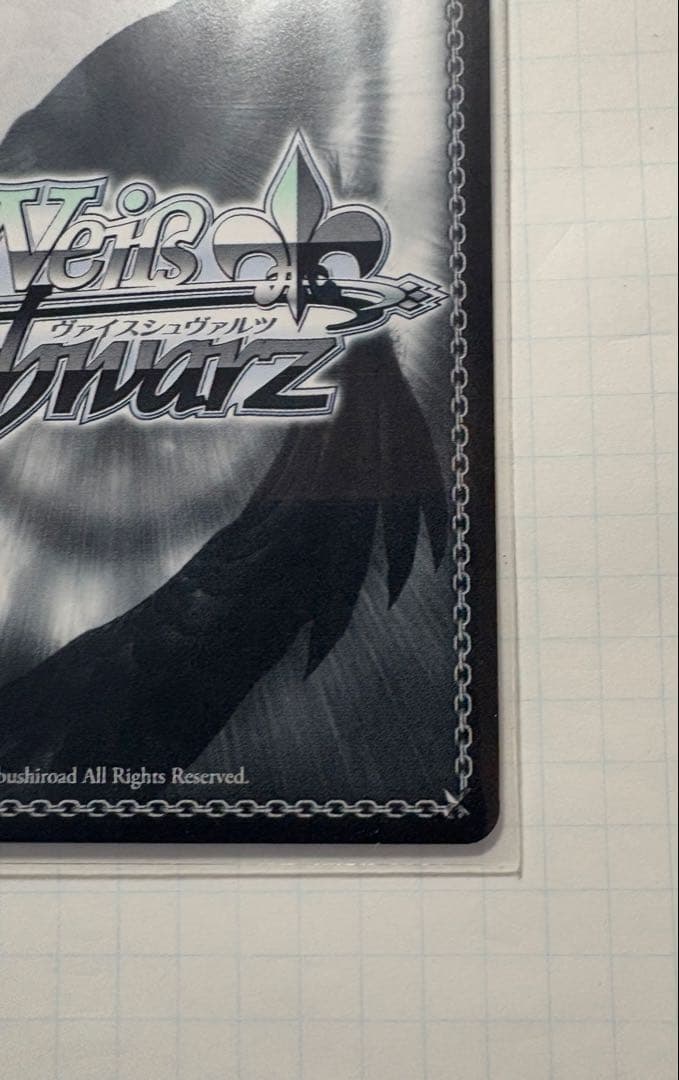 居てもいい居場所　ふゆほたる　SP