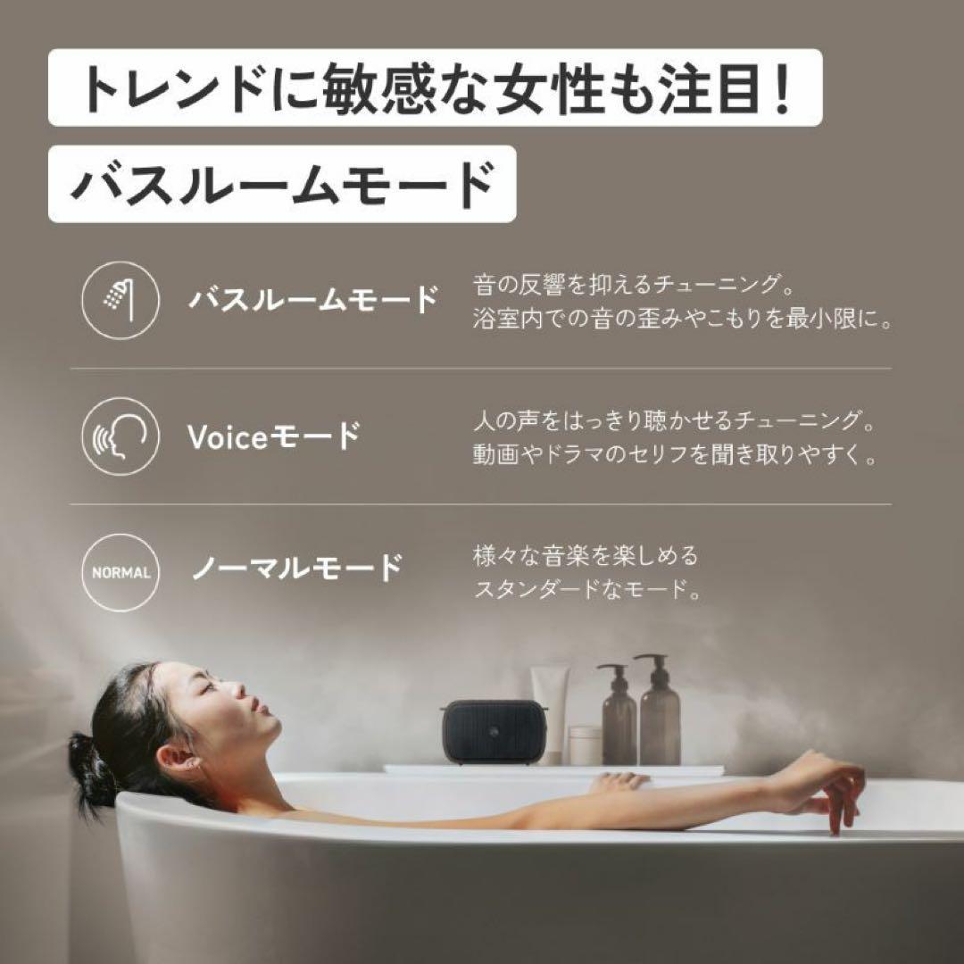 新品未使用JVCケンウッド Victor SP-WS04BT-T スピーカー