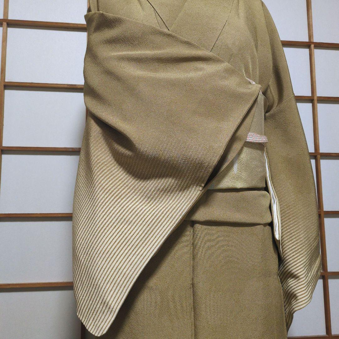 美品 江戸小紋 三役寄せ柄訪問着 丈161.5 裄67 ガード加工