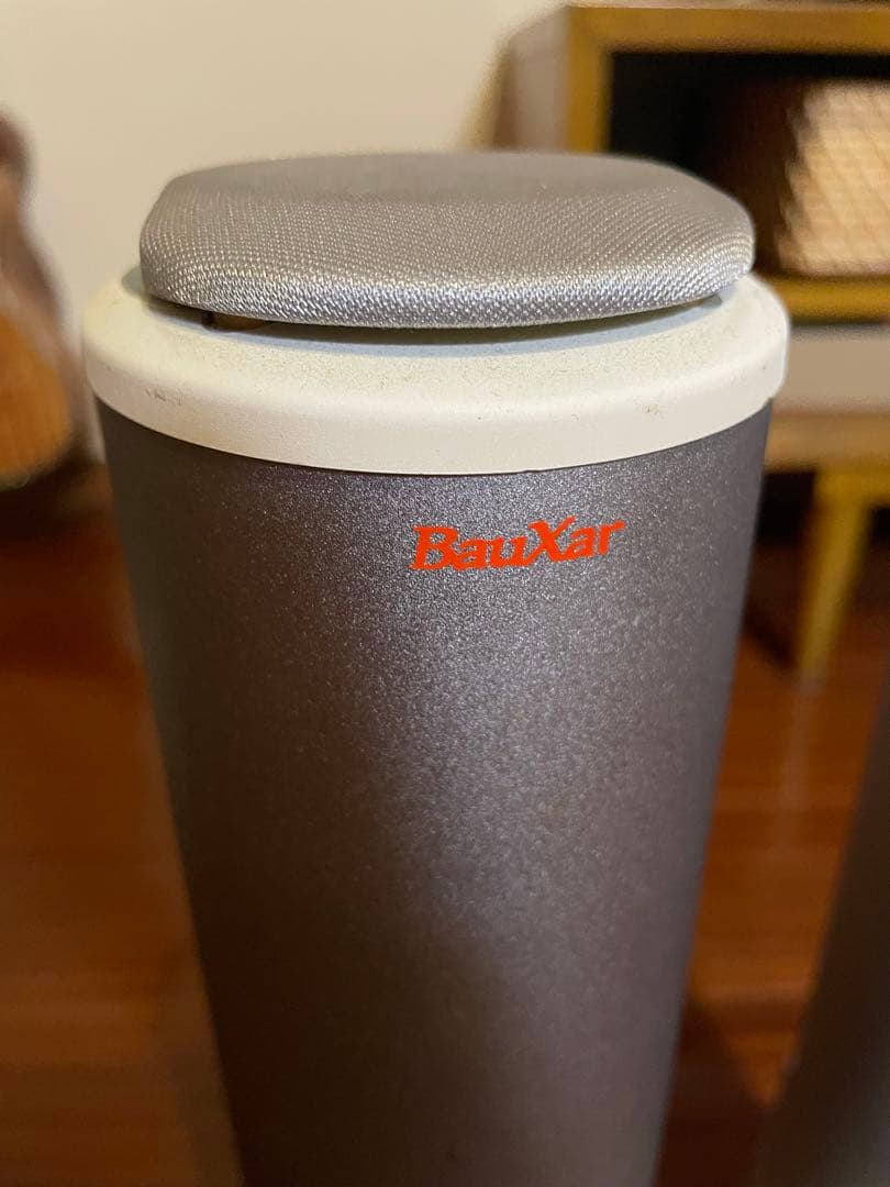 BauXar Jupity301 アンプ内蔵タワー型タイムドメイン・スピーカー