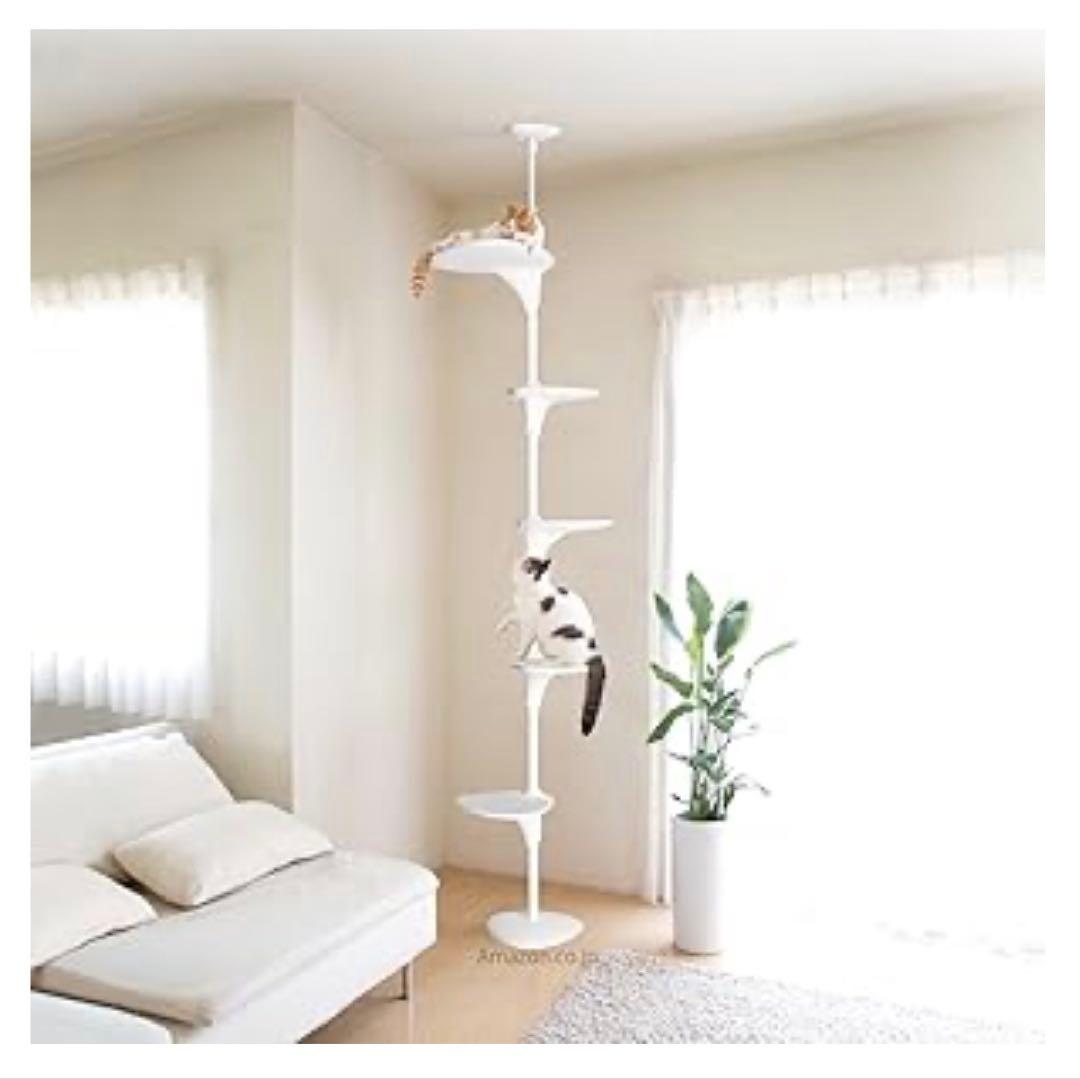 OPPO キャットフォレスト ホワイト