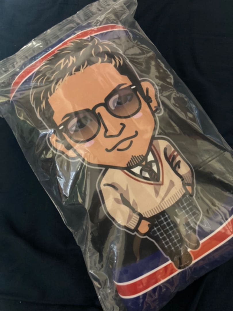 大幅値下げ中！数原龍友クッション