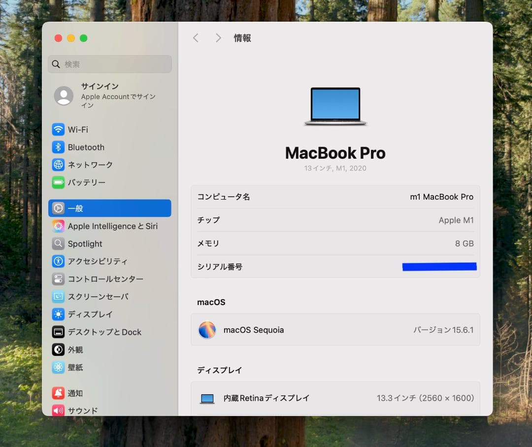 超美品 MacBook Pro 13 2020 M1 8G SSD512G