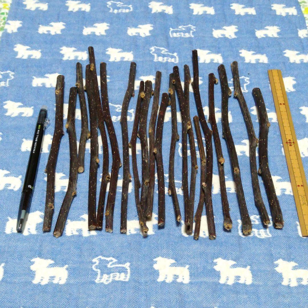 ロングタイプ75g20本前後、乾燥梨の木、小動物デグーハムスターおもちゃかじり木