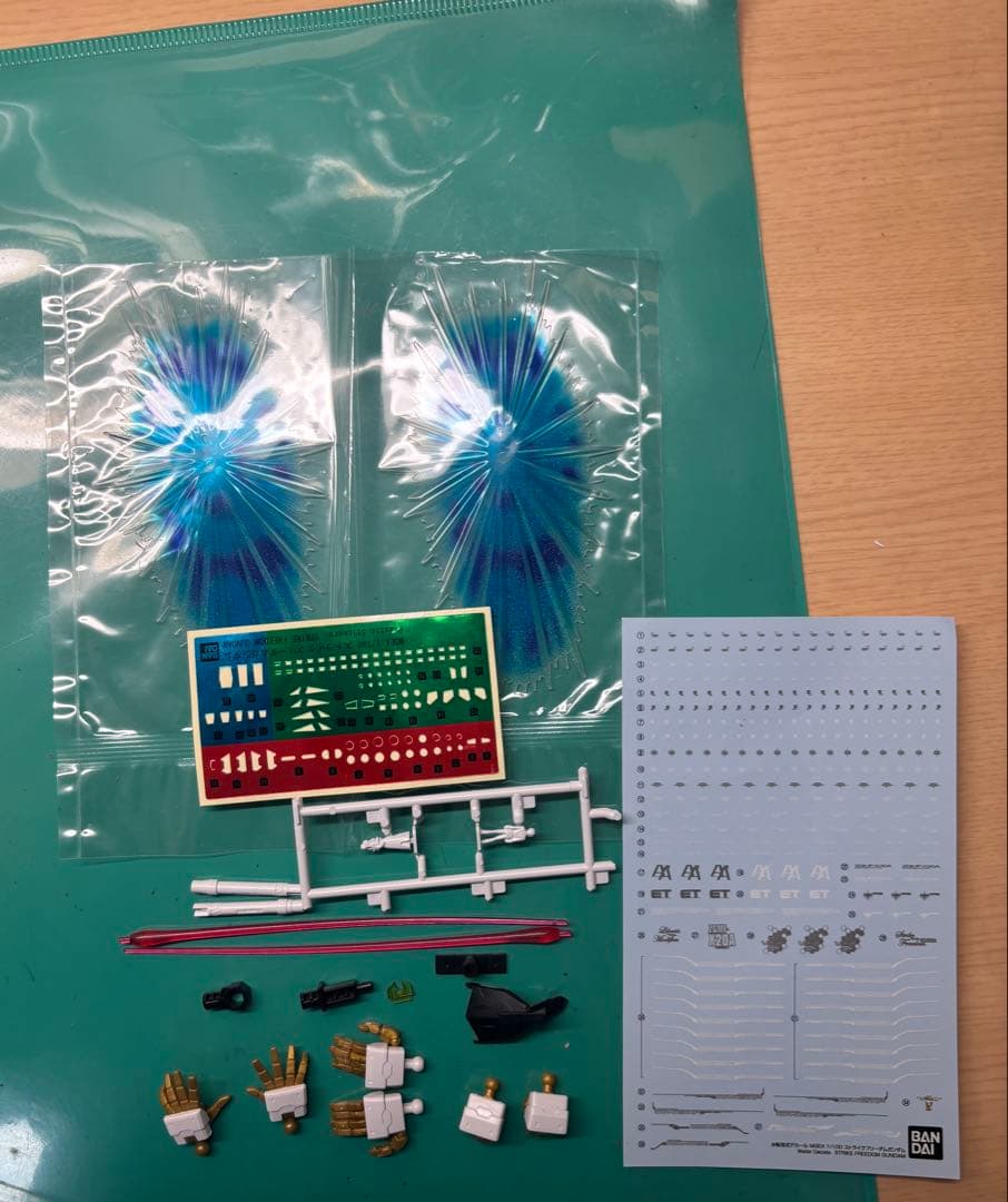 リ*チ様 MGEX ストライクフリーダム