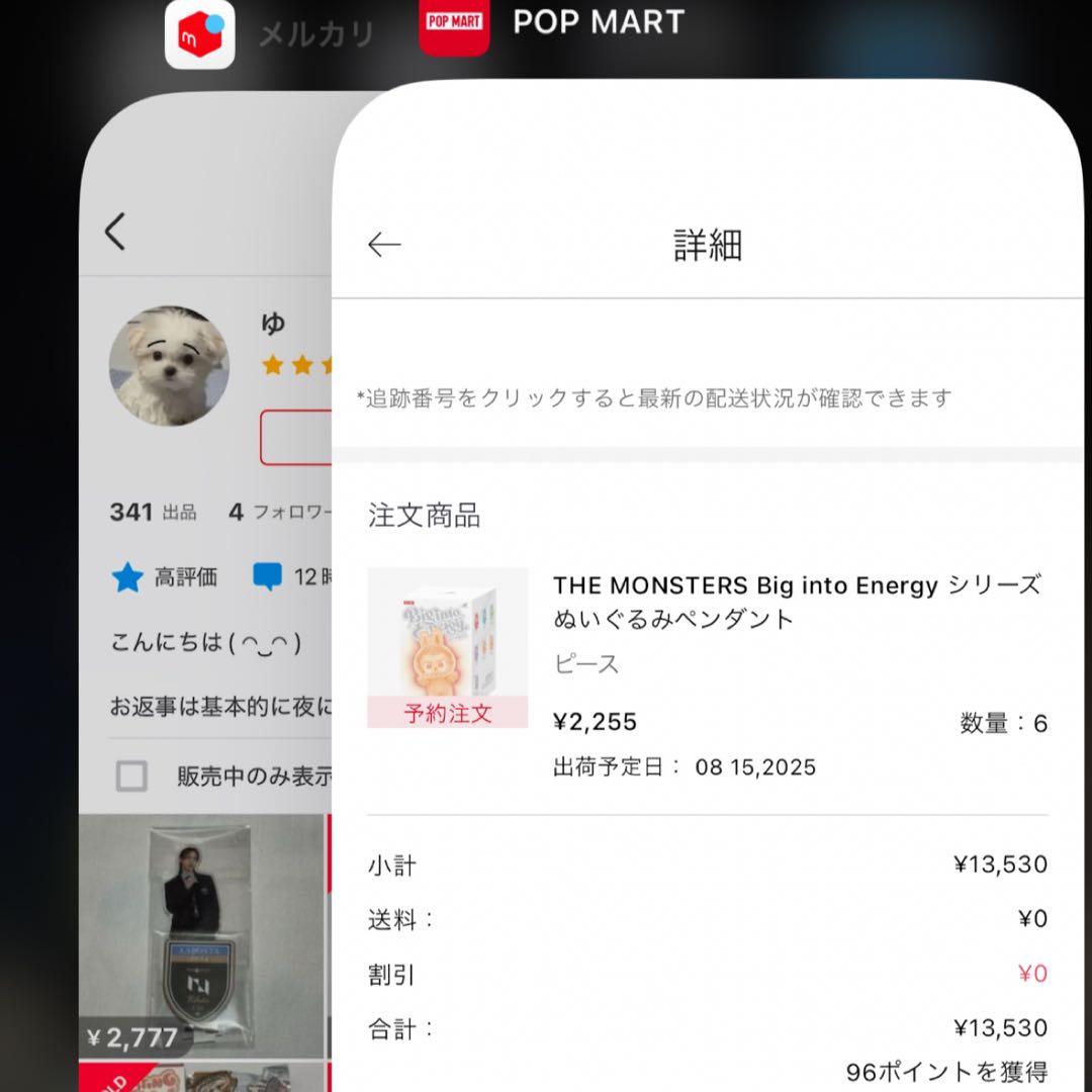POPMART ラブブ BigintoEnergy シークレット ID 正規品