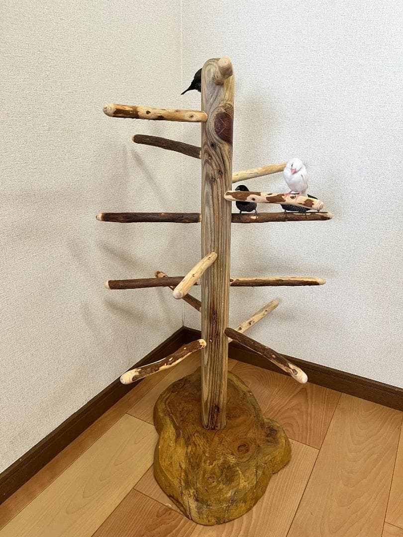 【中型鳥用】螺旋状♪ビビリさんにもすぃすぃ登れるバードスタンド