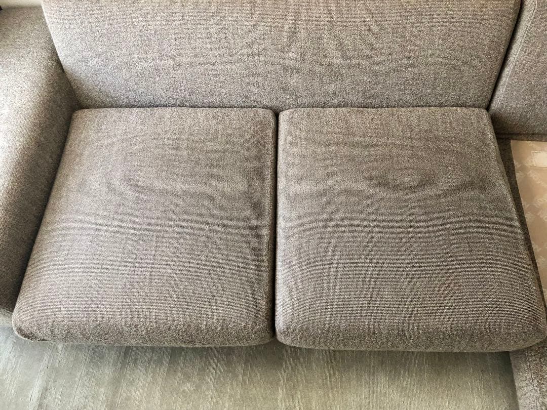 【大幅値下げ！】NOYES ノイエス 2人掛けソファ