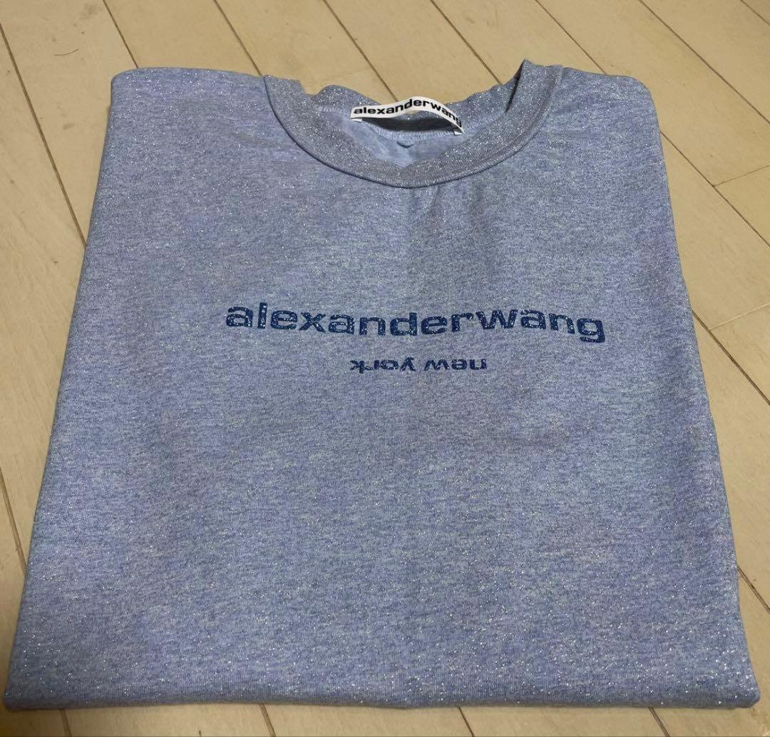 【即購入可】alexanderwan/ラメTシャツ ライトブルー