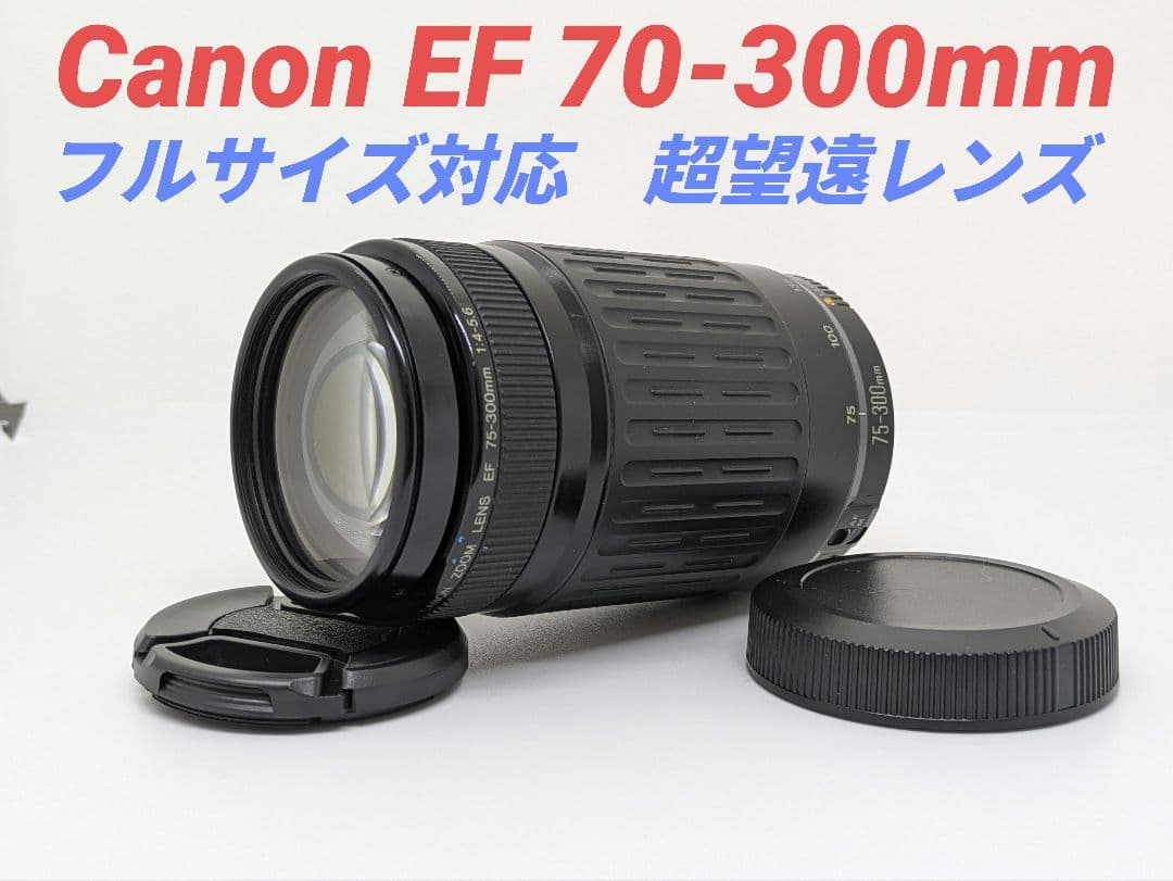 1月15日限定販売♪【超望遠レンズ】Canon EF 75-300mm