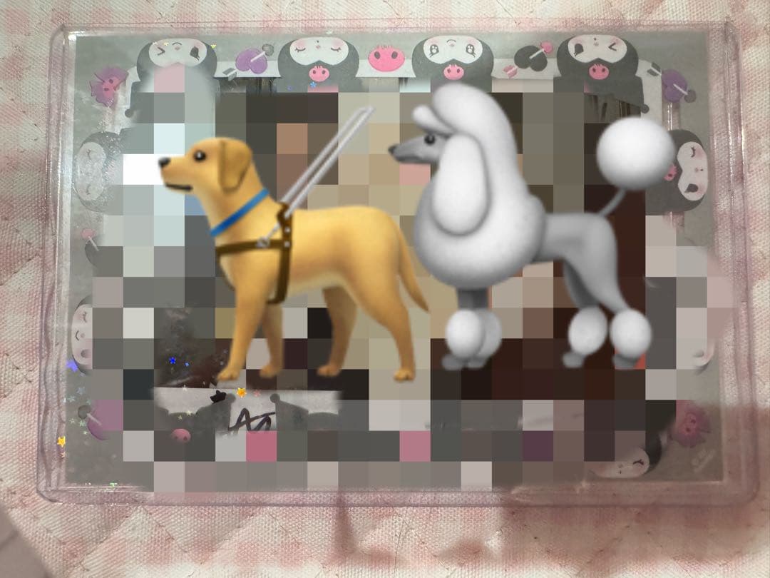 ENHYPEN ソンフン Jake 直筆サイン入りポラロイド