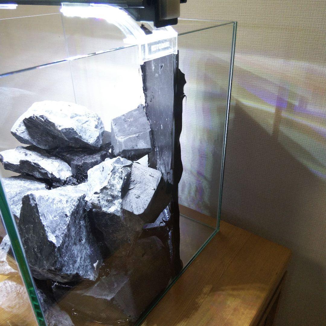 アクアテラリウム製作キット　イモリウム