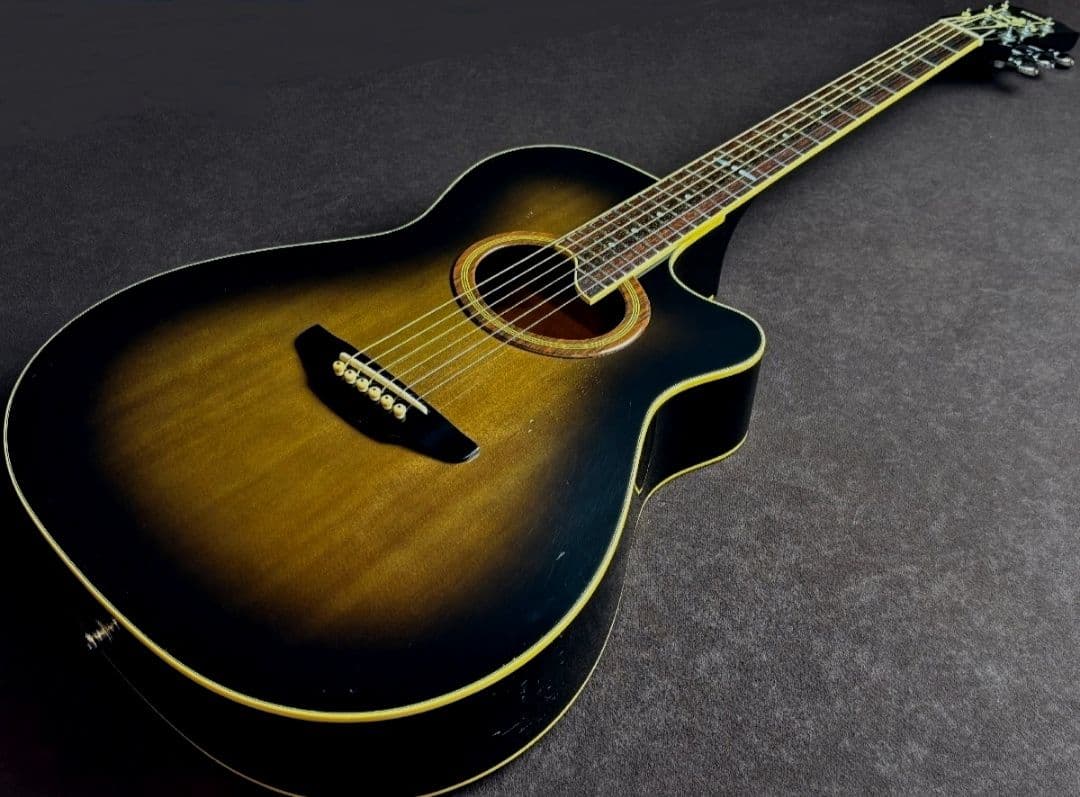 YAMAHA ヤマハ CWE-8 エレアコ　廃盤　希少　ハードケース　長渕剛