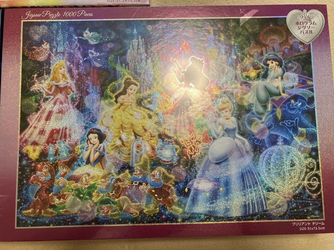 ディズニージクソーパズル