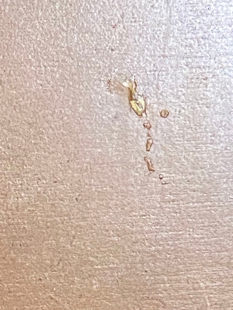 希少♦️花びら ハーフムーン コンソールテーブル♦️落ち着きある華やかなヴィンテージ