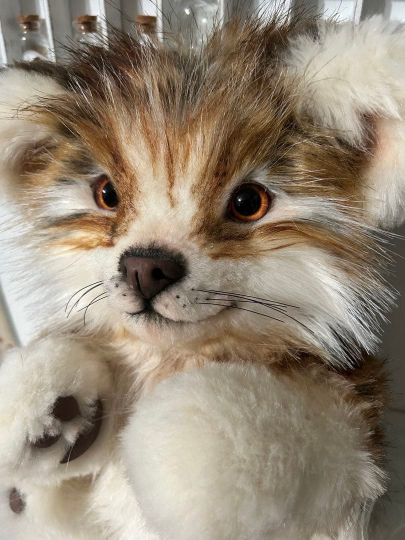 海外作家様　ぬいぐるみ　テディベア　アートドール　たぬき