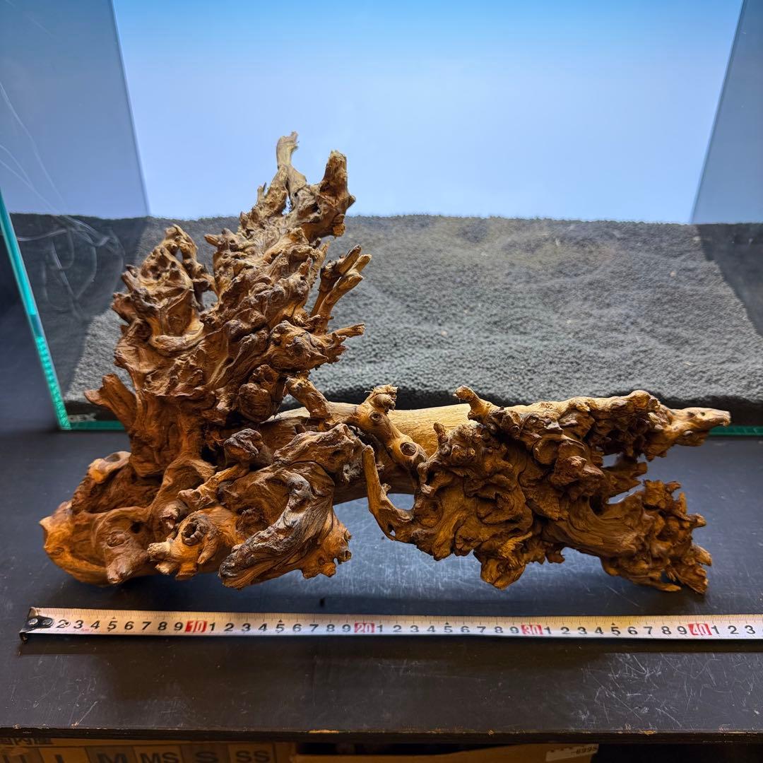 MSW-7084 天然流木 2本セット　枝流木　アクアリウム