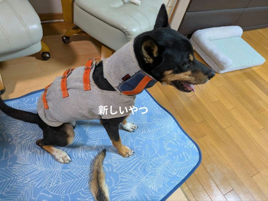 猟犬用耐切創ドッグベスト スペクトラベスト Spectra Vest 【強化版】