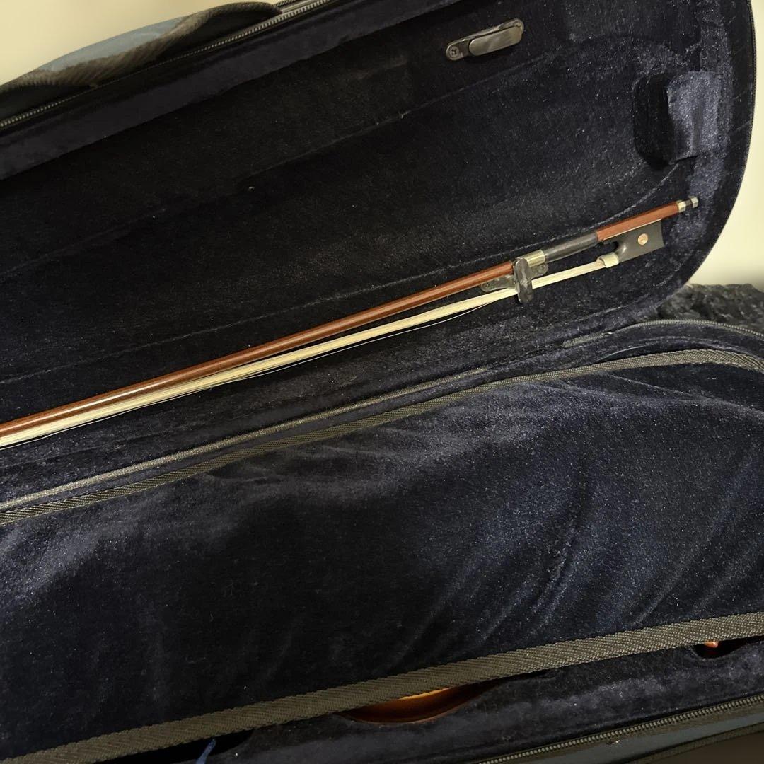 整備済み Carlo Giordano VS-1 4/4サイズ バイオリン