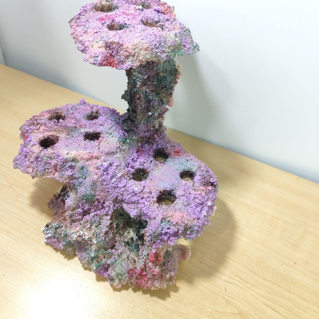 プラグ穴付き アク抜き不要人工ライブロック 海水水槽 レプリカ コーラルフラグ5