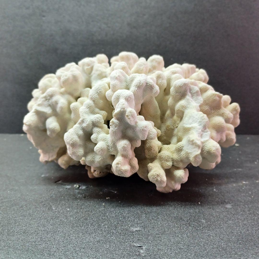 MURANO de majo デマヨ社製 1988'ムラーノ グラス 大皿