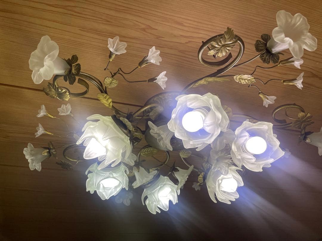 花の形状の6灯シャンデリア