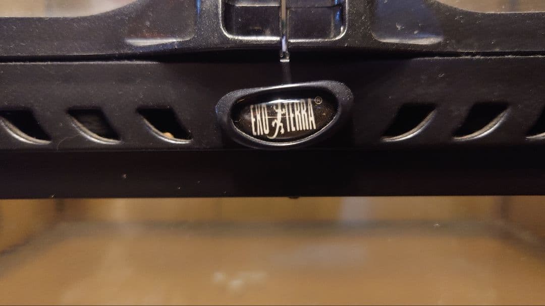 ※説明欄必読　GEX グラステラリウム6060