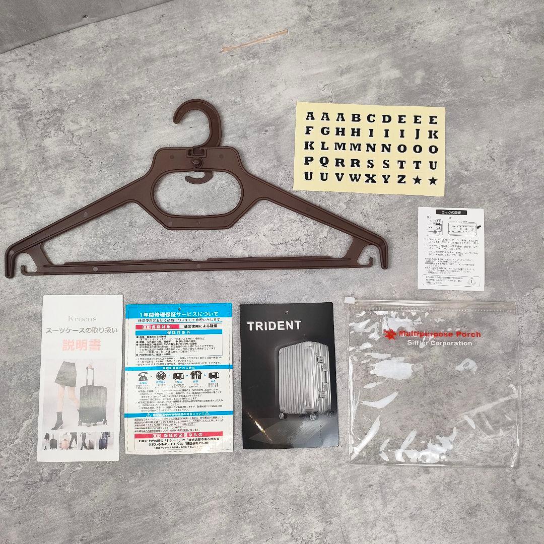 【迅速発送】siffler アルミ調 スーツケース 66L