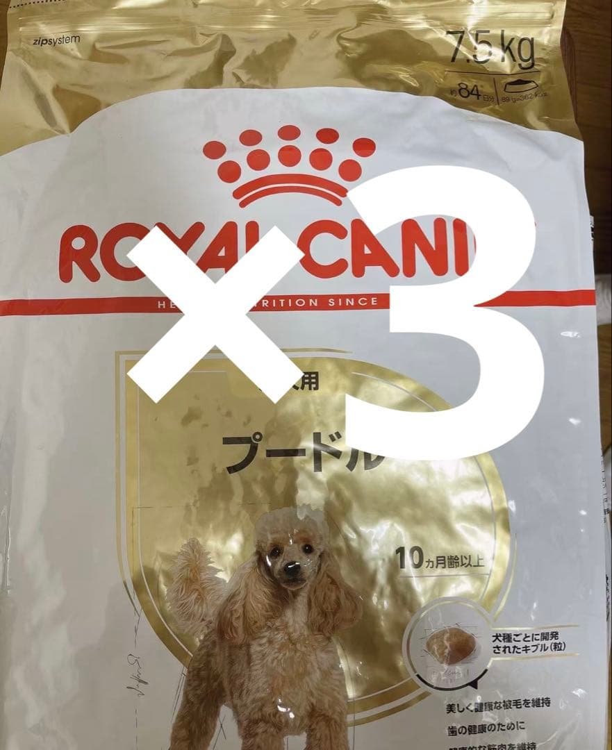  CANIN プードル用ドッグフード 7.5kg×3袋