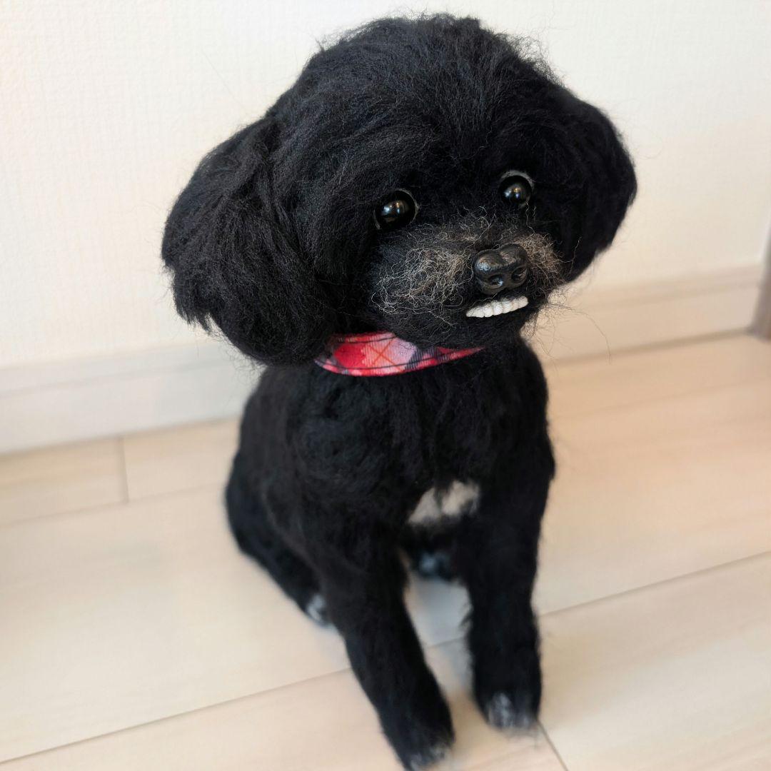 ほのかページです