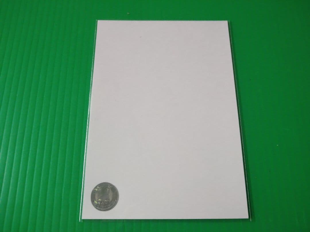 乃木坂46 『齋藤飛鳥』 スペシャル衣装35 直筆サイン入り 生写真