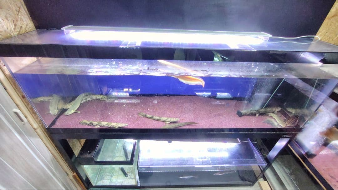 大型アクリル水槽　1800×600×600（h） 上部フィルター