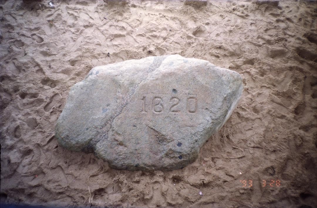 プリマス・ロックの孫みたいな石