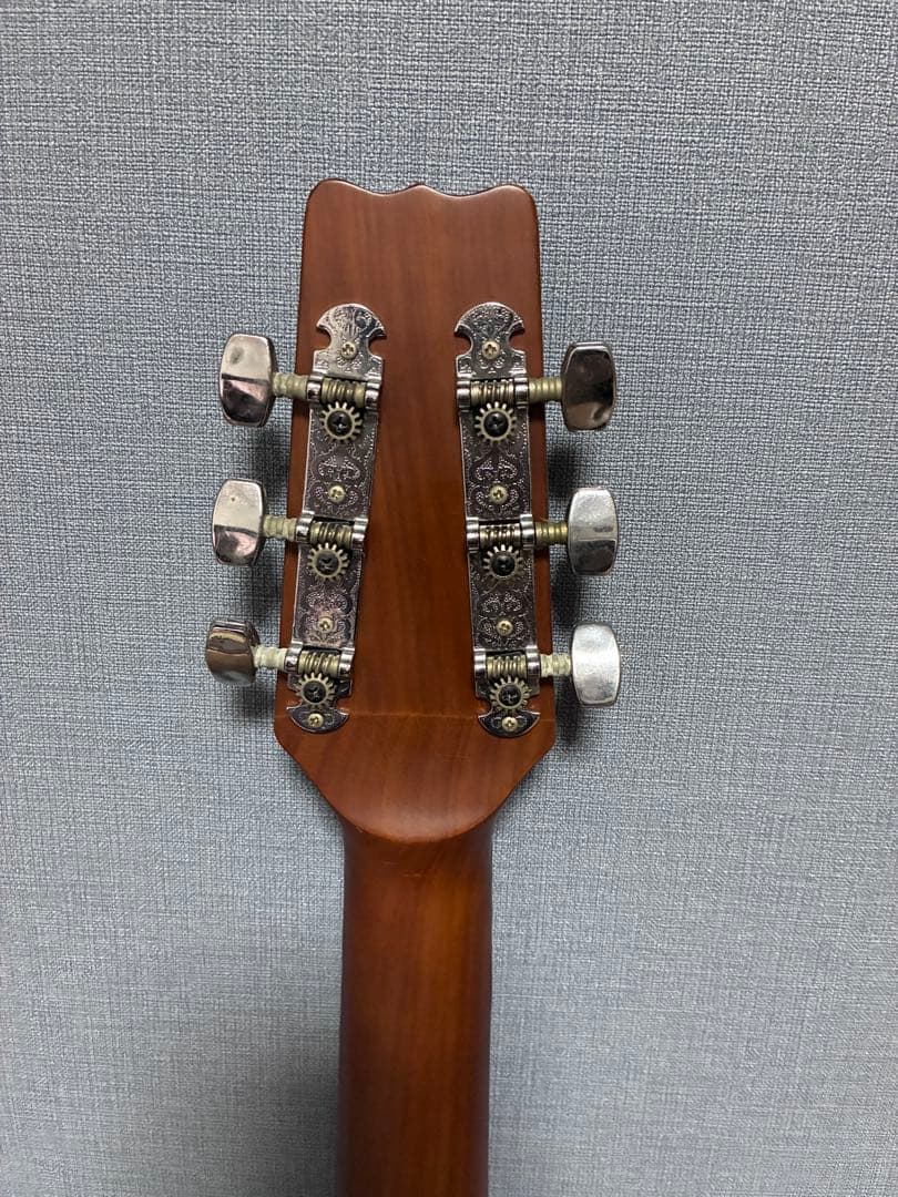 Vantage VIS-1 ヴァンテージ　アコースティックギター　マホガニー