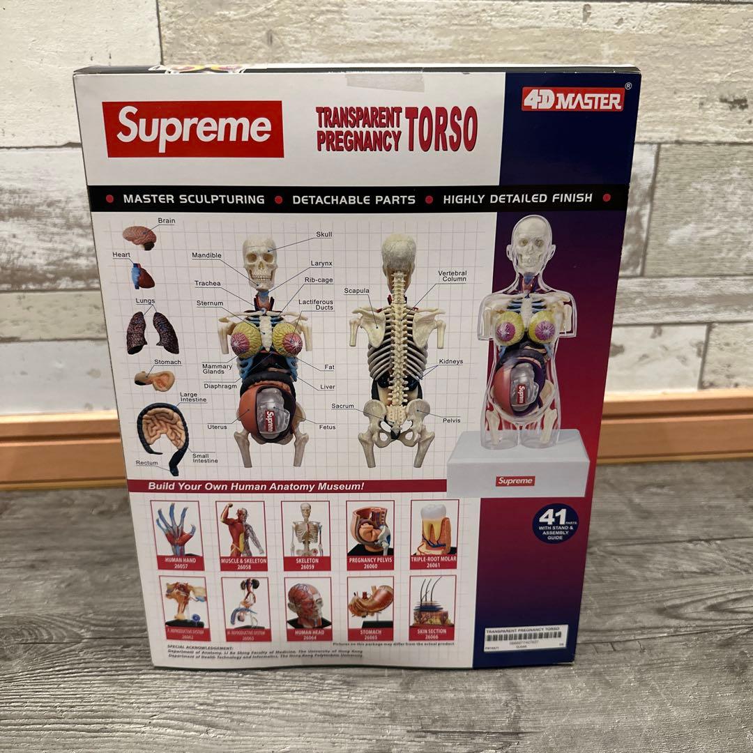 SUPREME (シュプリーム) 18AW Female Model 人体模型